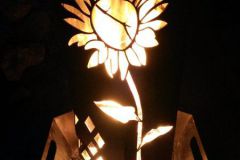 Sonnenblume-3