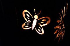 Sonnenblume-5